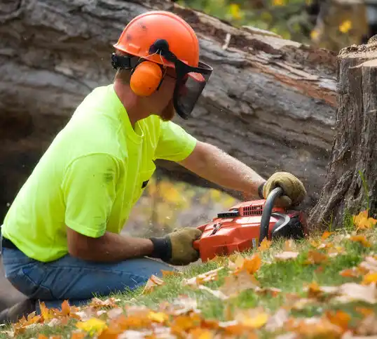 tree services Bellville